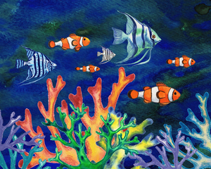 School Of Fish Angelfish And Clownfish Under