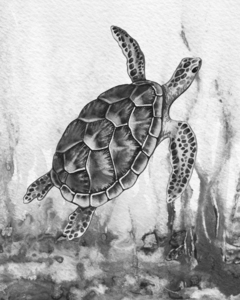 Sea Turtle Swimming Under The Ocean Water Gra 1666057358.3035