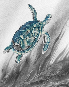 Sea Turtle Swimming Under The Ocean Water Gra 1666057359.6073