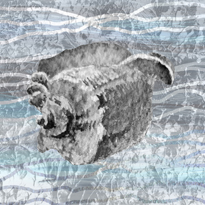 Silver Gray Seashell On Ocean Shore Waves And Rocks I