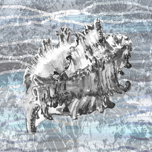 Silver Gray Seashell On Ocean Shore Waves And Rocks III