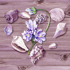 Heart Seashells Flower Beach Art Watercolor V