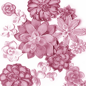 Soft Pale Blush Pink Watercolor Succulent Wal 1666069415.1324