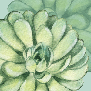 Succulents Collage Watercolor 153