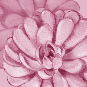 Succulents Collage Watercolor 160