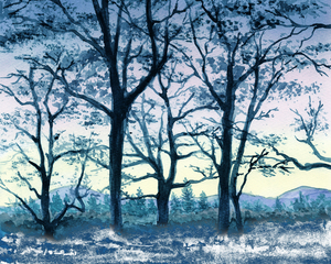 Sunrise In Winter Forest Watercolor Landscape