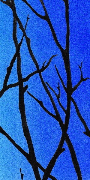Ultramarine Forest Winter Blues III