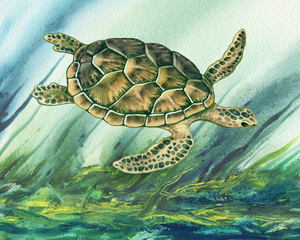 Watercolor Giant Turtle In Abstract Seaweed And Water X