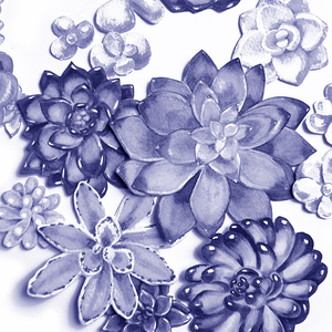 Very Peri Purple Blue Succulent Plants Garden 1666069417.312