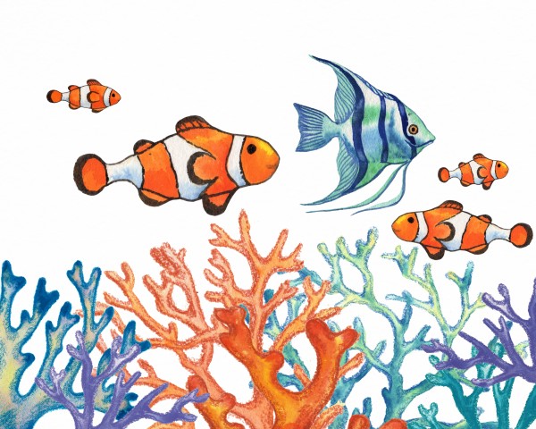 Angel Fish and Clown Fish In Coral Reef Watercolor 