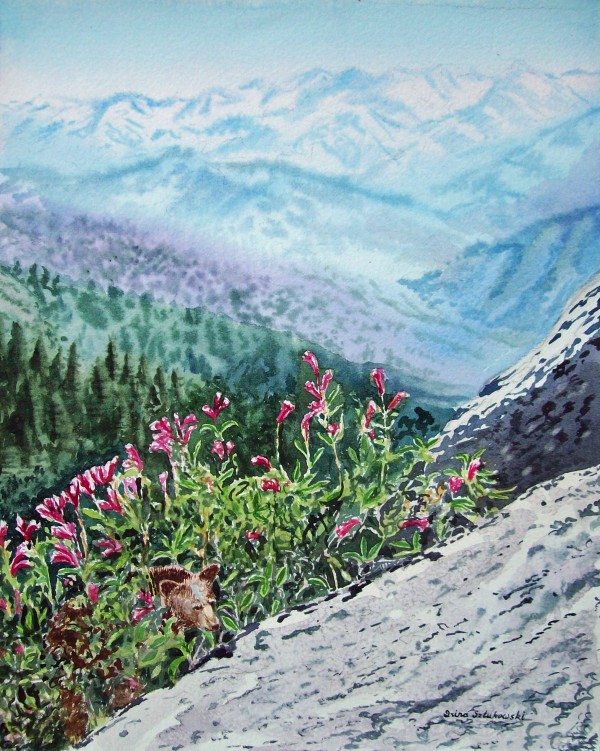 Mountains Of Sequoia 