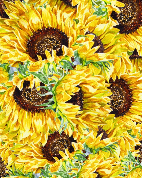 The Field Of Watercolor Sunflowers Pattern Print
