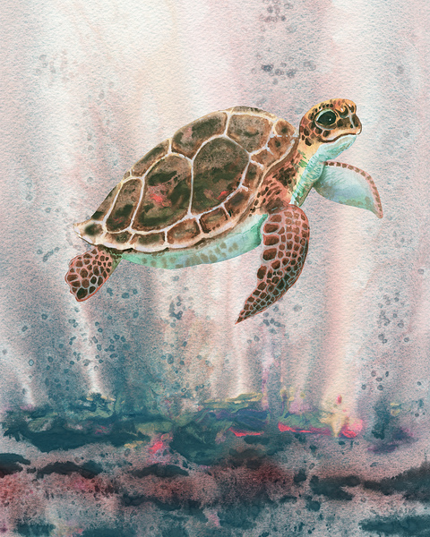 Turtle 115 Print
