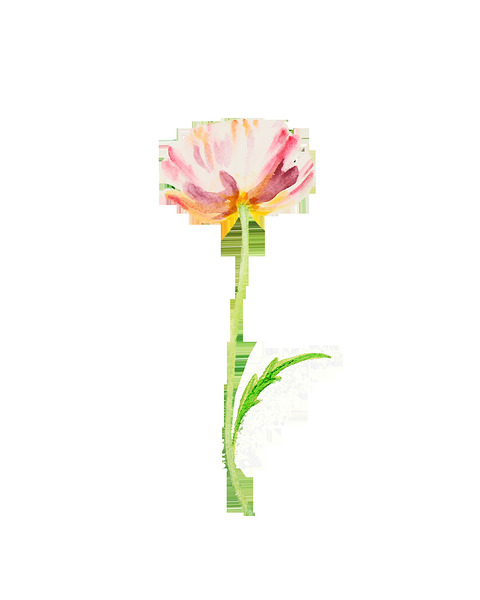Watercolor Flower Minimalism PNG 13 Print