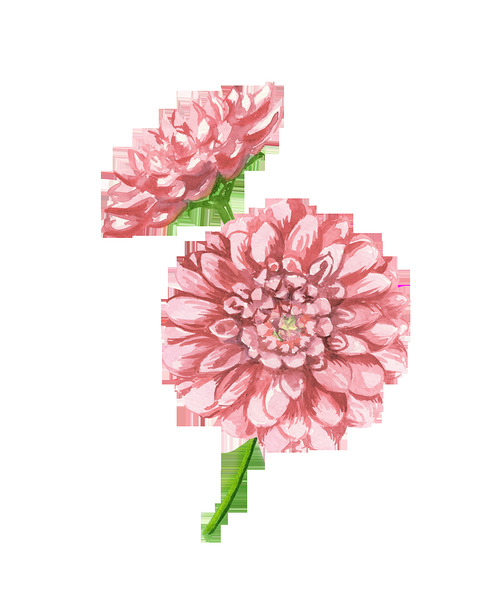 Watercolor Flower Minimalism PNG 20