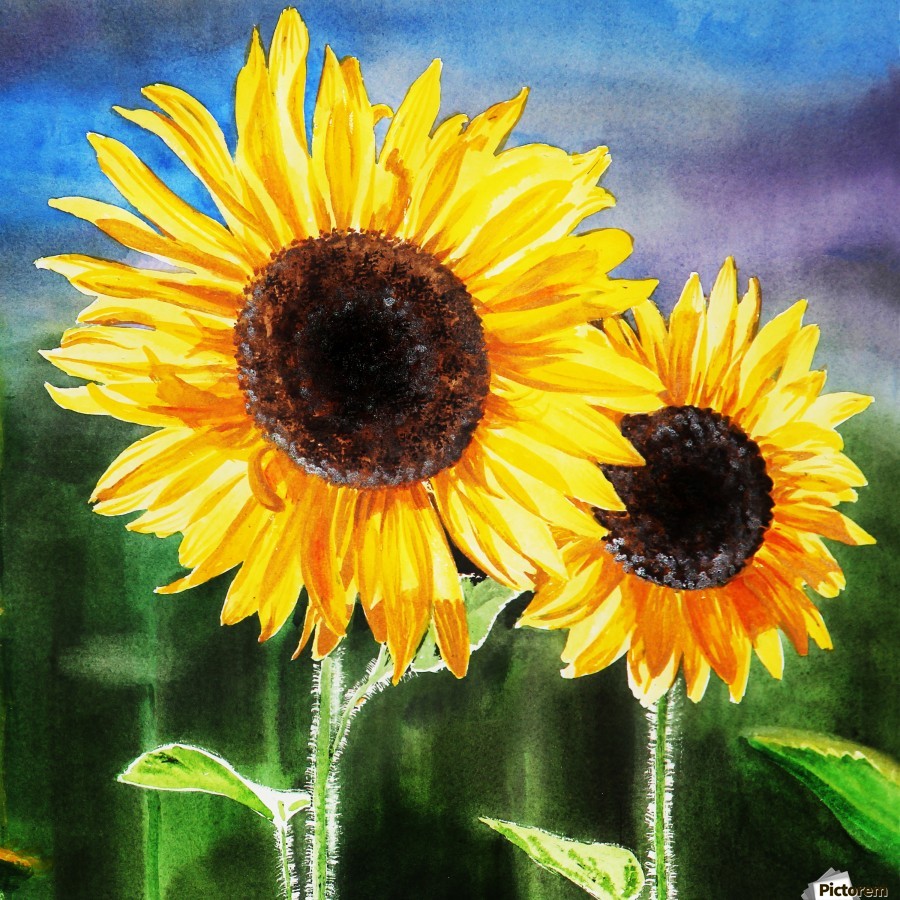 a*a様 Sunflower Twins 絵画原画 Sunflower Twins 絵画原画 - メルカリ
