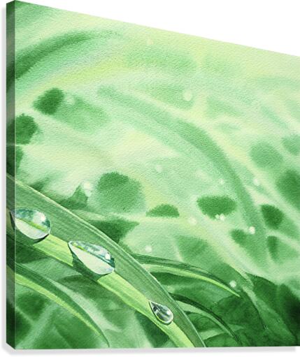 Dew Drops On Green Leaves Watercolor   Canvas Print