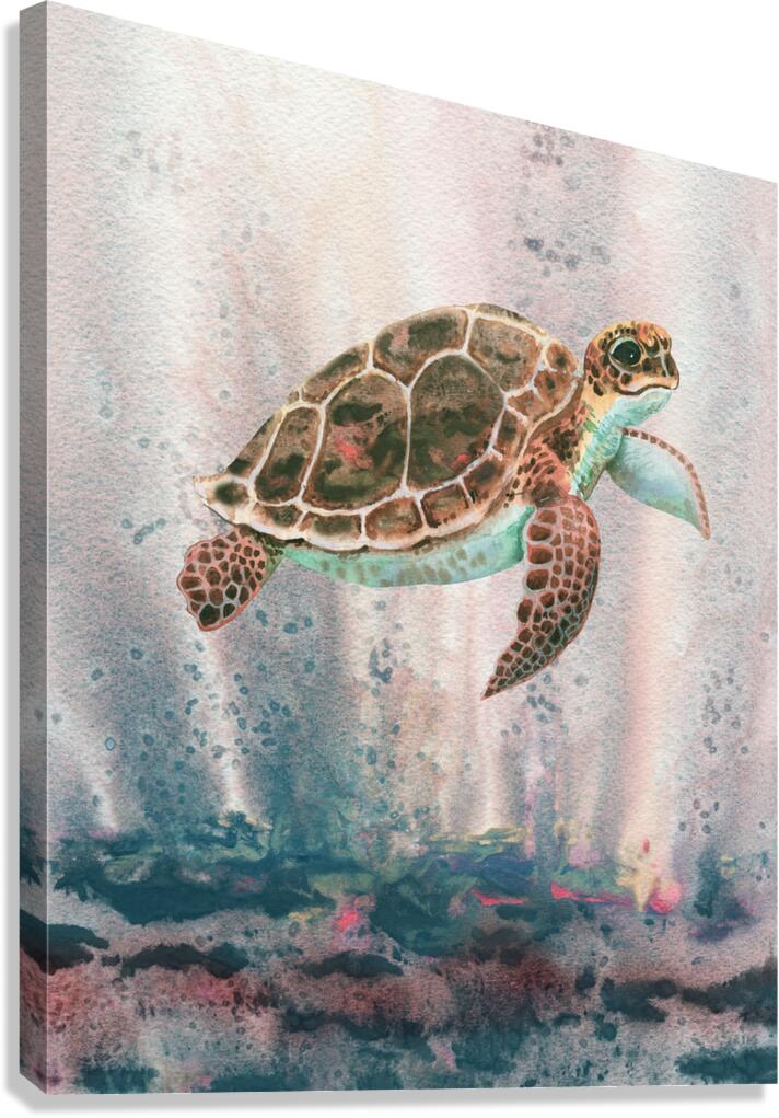 Turtle 115 Canvas Print
