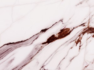 2554217
