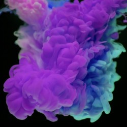 abstract03
