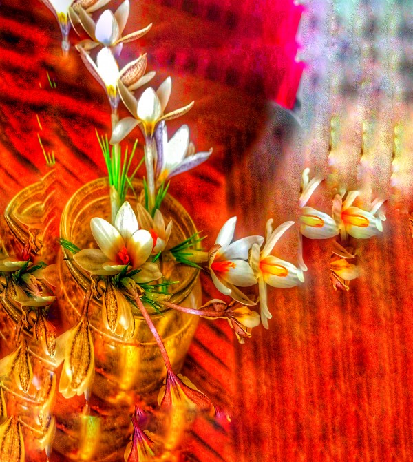 There is a magic in Snowdrop Print