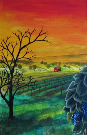 Champ de vignes 
