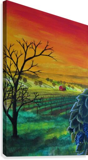 Champ de vignes  Canvas Print
