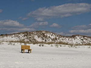 Lonely Bench