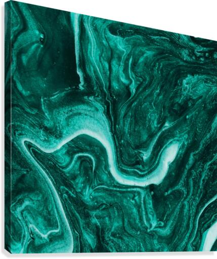 Green Screen Canvas Print