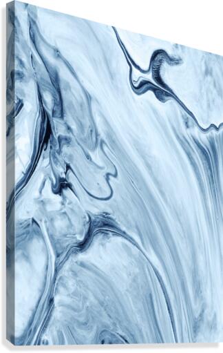 Smooth Abalone Canvas Print