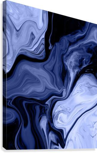 Bloom 1 Canvas Print
