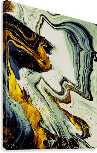 Luxe 2 Canvas Print