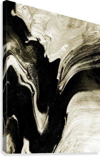 Whisked 2 Canvas Print