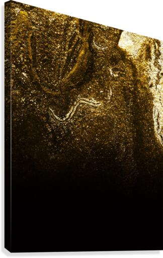 Falling Gold Canvas Print