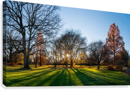 Sunset Fall Canvas Print