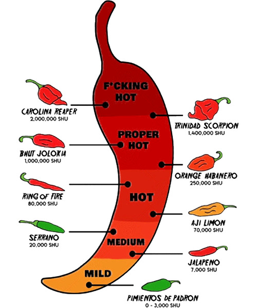 Red Hot Chili Peppers 36 by LeonJHart