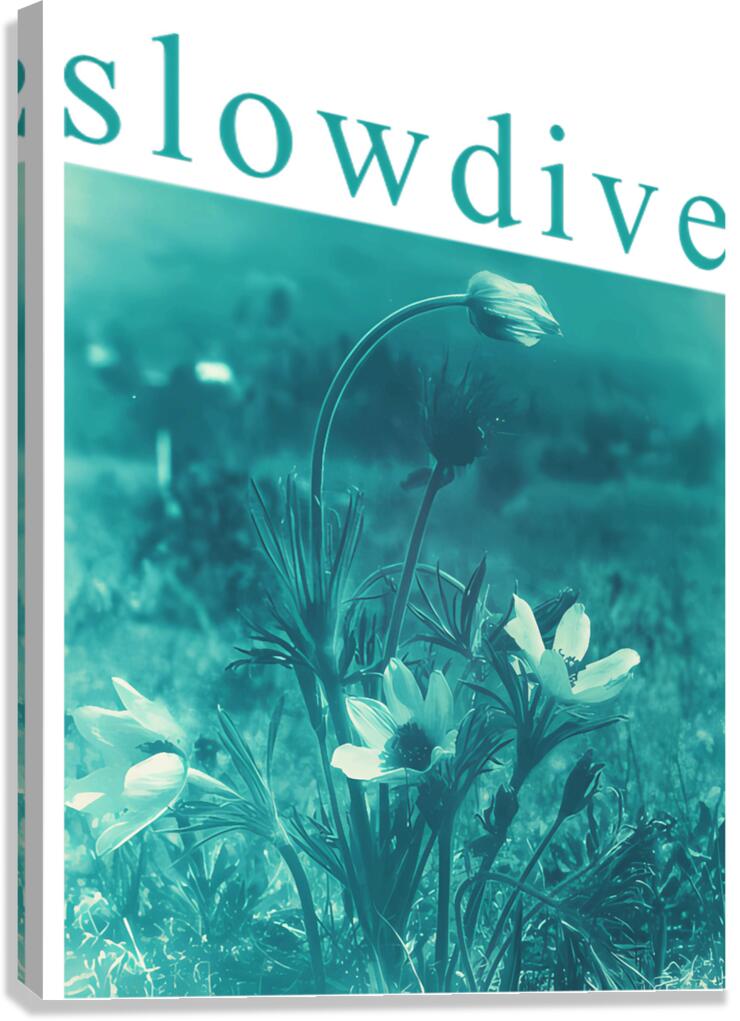 Slowdive 20 Canvas Print