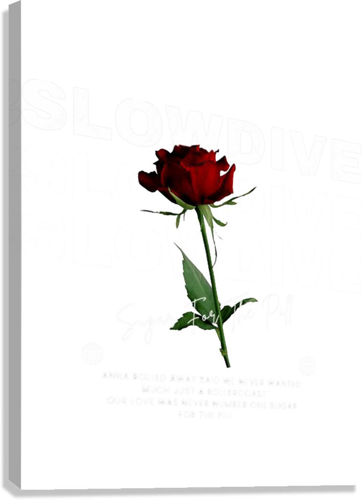 Slowdive 22 Canvas Print