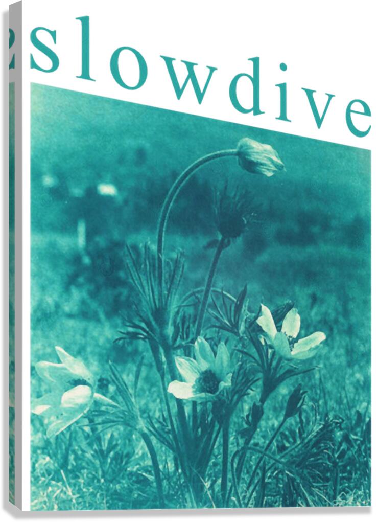 Slowdive 45 Canvas Print
