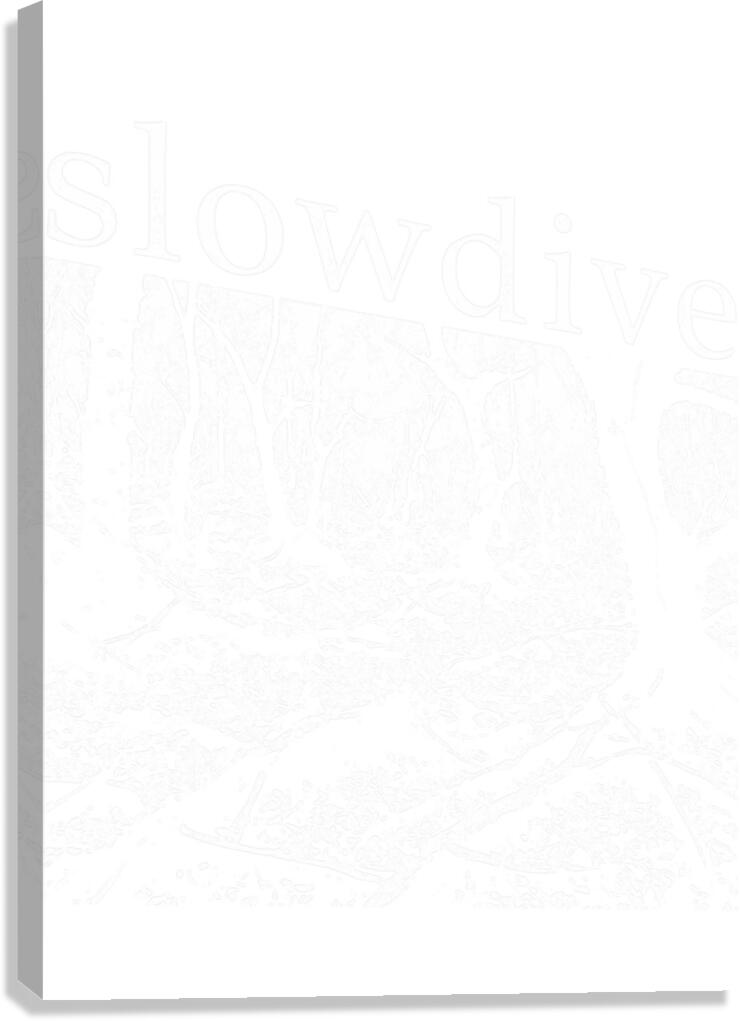 Slowdive 9 Canvas Print