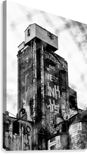 La-haut Canvas Print