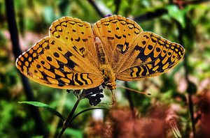 Feeding in the Light