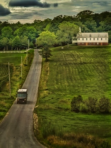 Summer Afternoon on Westborough Road