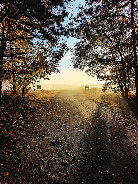 On the Perimeter Trail Print