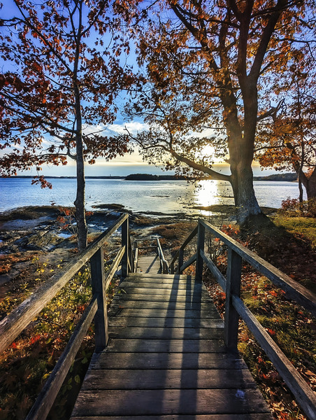 Winslow Park Golden Hour - Freeport Maine Wall Art Print