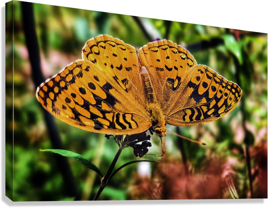 Feeding in the Light Canvas Print