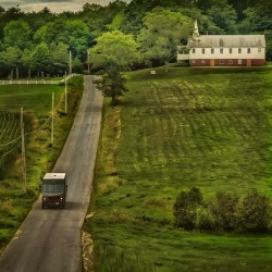 Summer Afternoon on Westborough Road