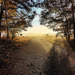 On the Perimeter Trail