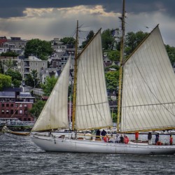 A Cold Spring Sail  - Portland ME