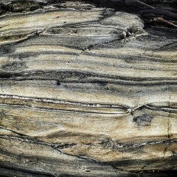 Baily Island Rock - Harpswell ME